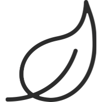 Charcoal leaf icon 